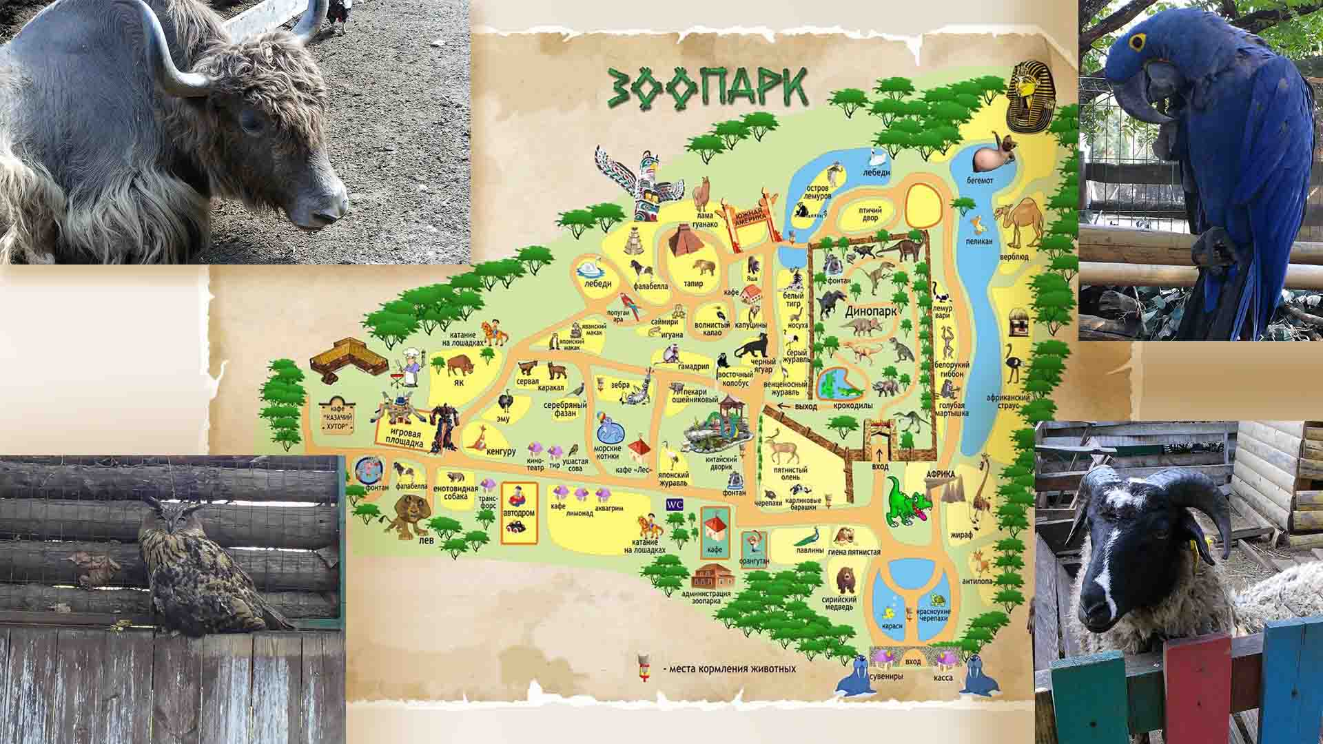 План зоопарка